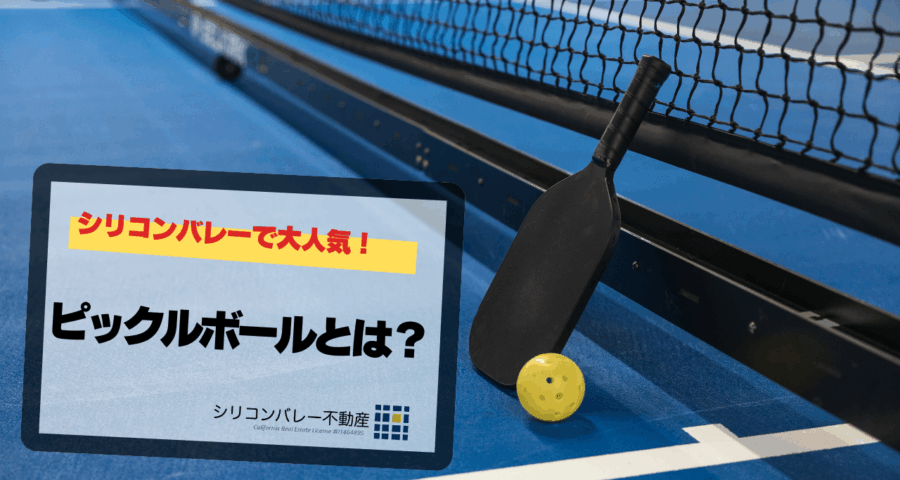 ピックルボールアメリカ大人気