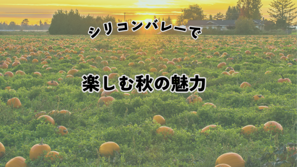 サンノゼパンプキンパッチ秋