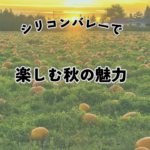 サンノゼパンプキンパッチ秋