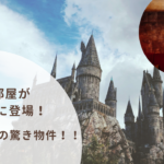 サンノゼ驚きの住宅事情ー階段下